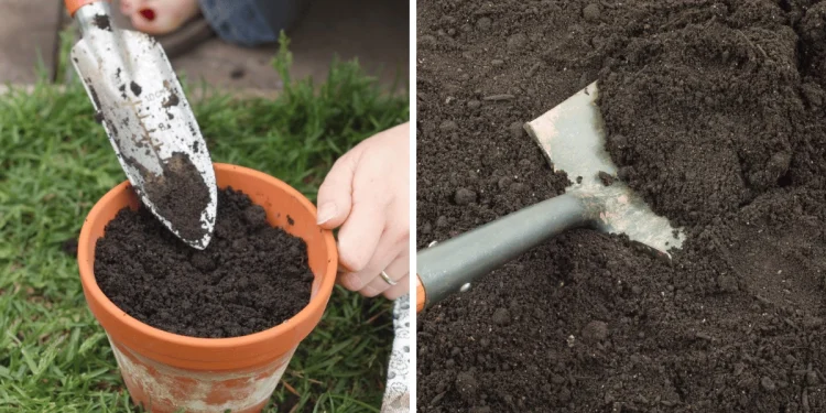 Can you use garden soil in pots