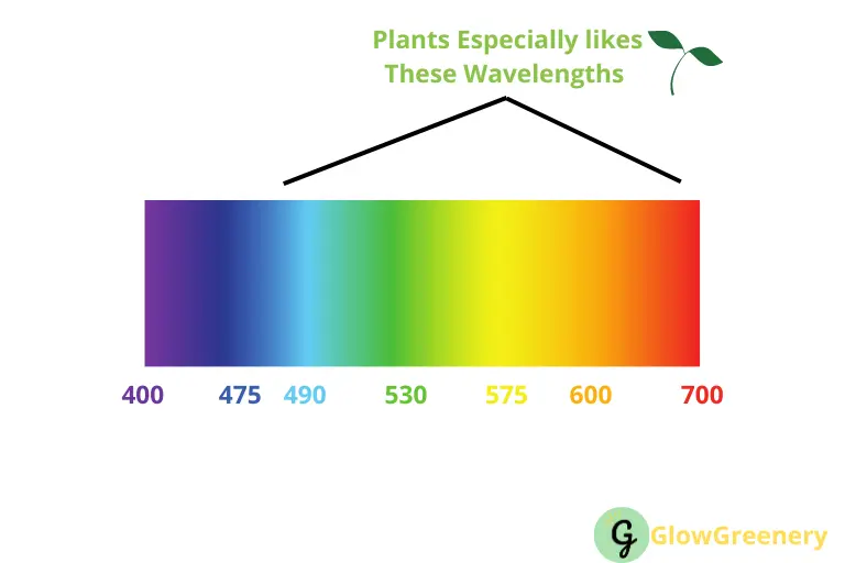 Which wavelengths are important for photosynthesis