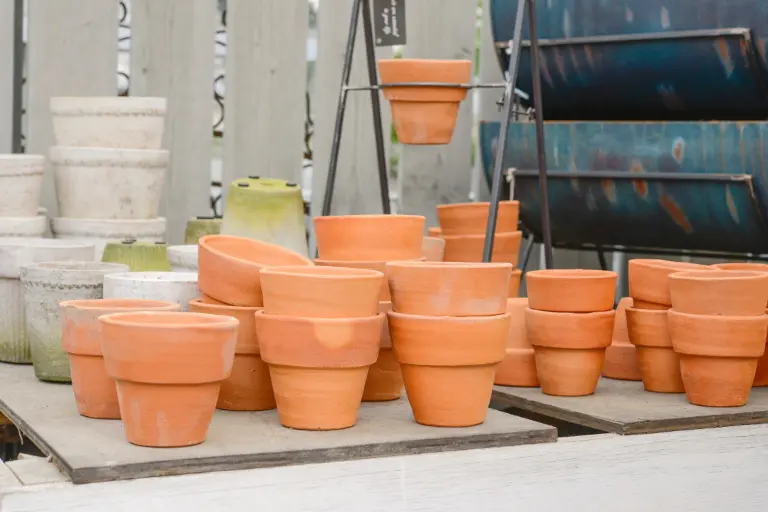 variety of planting containers